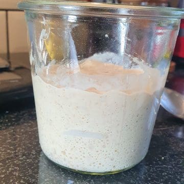 Sourdough Starter in Weck Jar